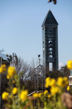 菜の花と東山タワー
