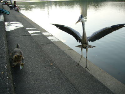 平和公園