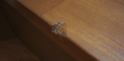 階段・框