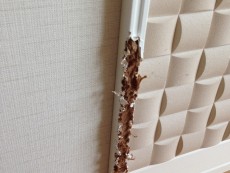 見切りのかじり補修