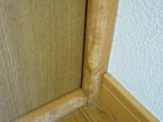 かじったのはワンちゃん?