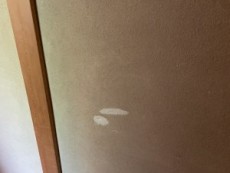 聚楽(じゅらく)色補正