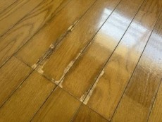 床材はがれ補修