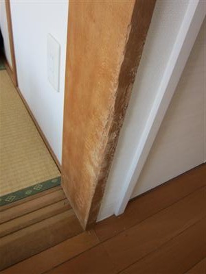 犬のかじり跡補修 2