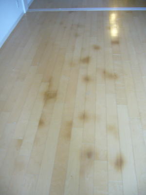 中古物件の床シミ補修